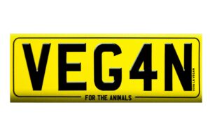 Veg4n sticker
