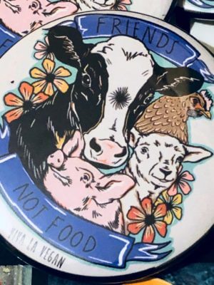 58 mm Statement Badge: VLV Friends NOT Food new