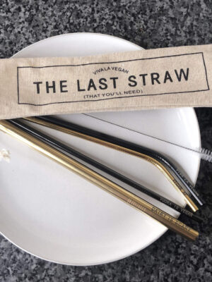 6 piece reusable stainless steel straw set: The Last Straw