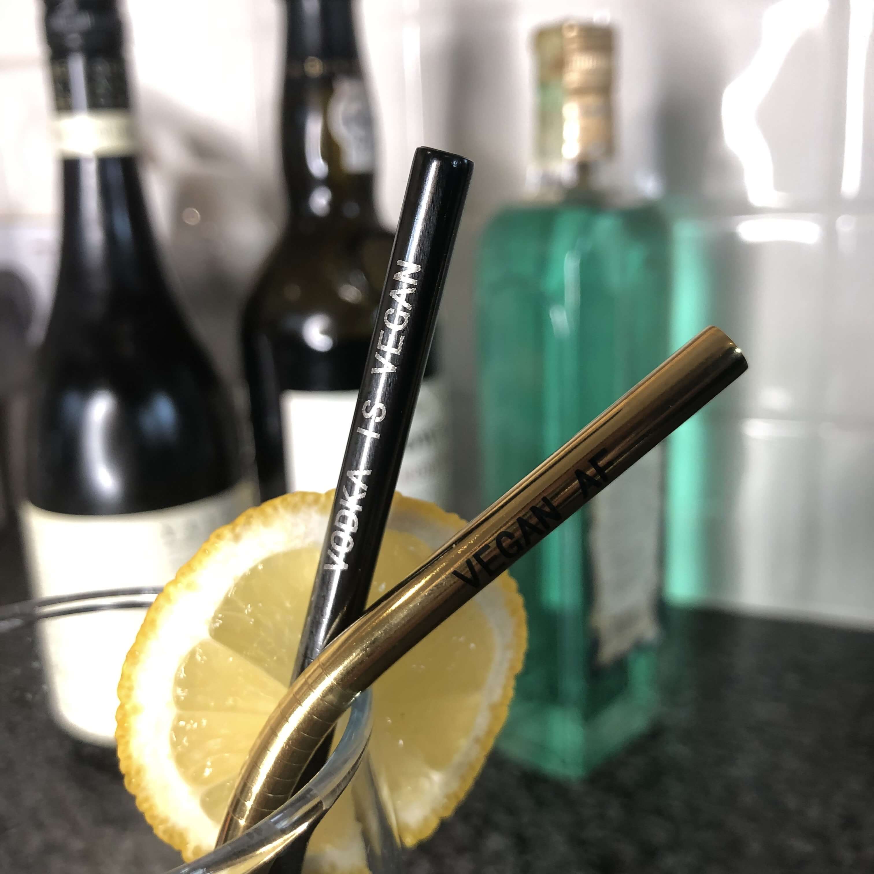 6 piece reusable stainless steel straw set: The Last Straw