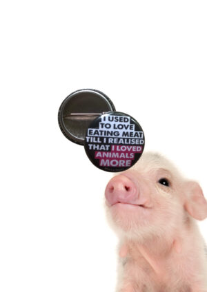 A photo of a beautiful piglet with a picture of a small 25mm metal badge over the top with the words "I used To Love Eating Animals" created and sold by eco-ethical brand Viva La Vegan