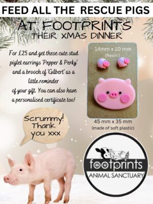 For just £25 you can feed all 21 pigs at Footprints animal sanctuary their Xmas dinner and get these stud piglet earrings & brooch as a reminder of the awesome gift you gave