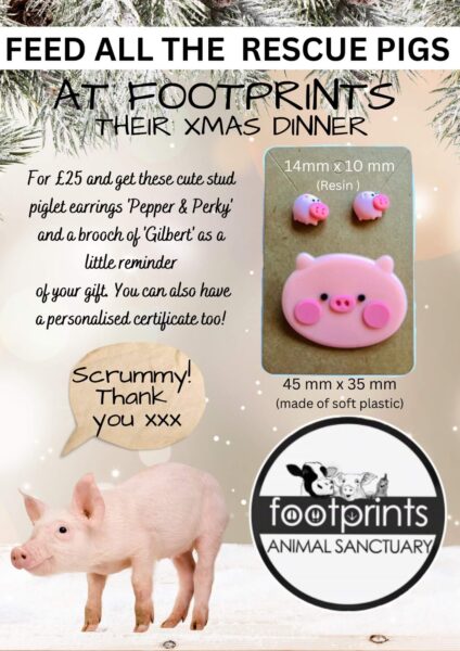 For just £25 you can feed all 21 pigs at Footprints animal sanctuary their Xmas dinner and get these stud piglet earrings & brooch as a reminder of the awesome gift you gave