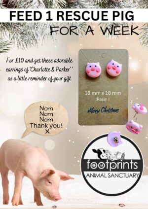 Help feed the pigs at Footprints animal sanctuary and get these cute resin piggy earrings as a thank you