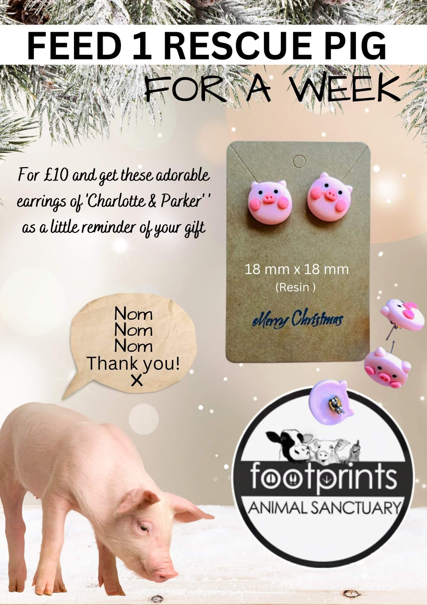 Help feed the pigs at Footprints animal sanctuary and get these cute resin piggy earrings as a thank you