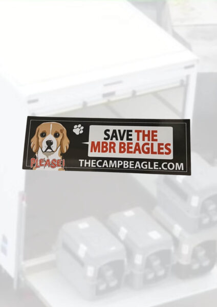 Save The MBR Beagles Window Cling . Fundraising for camp beagle. by Viva La Vegan