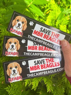 Fan of 3 Save The MBR Beagles Window Clings . Fundraising for camp beagle. by Viva La Vegan