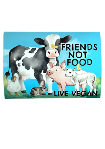 Window Cling - Friends Not Food 10 x 7 cm
