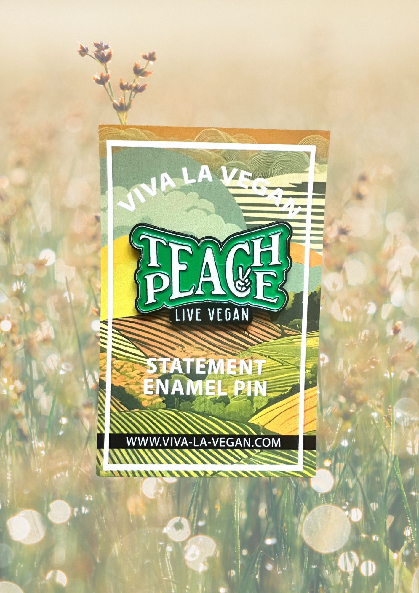 Teach Peace Pin on Backer