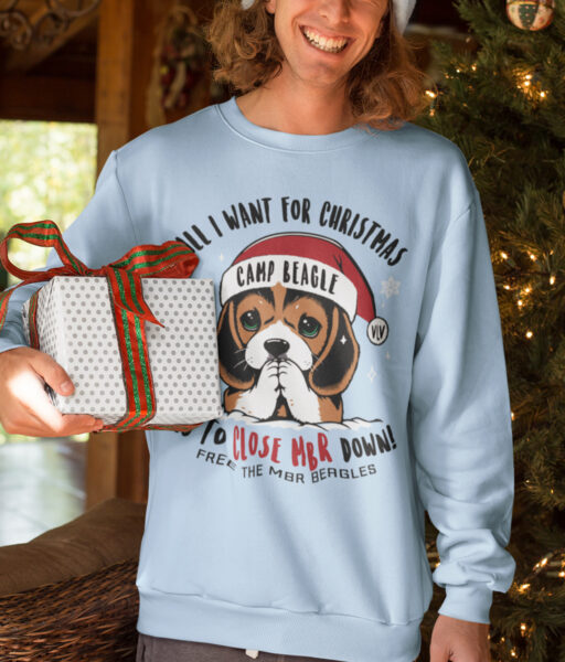 Camp beagle christmas sweater in soul blue being worn by a smiling man who is holding a wrapped parcel
